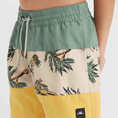 5. O'Neill Mix&Match Cali Block 13'' Jr Swim Shorts 92800613806
