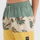 5. O'Neill Mix&Match Cali Block 13'' Jr Swim Shorts 92800613806