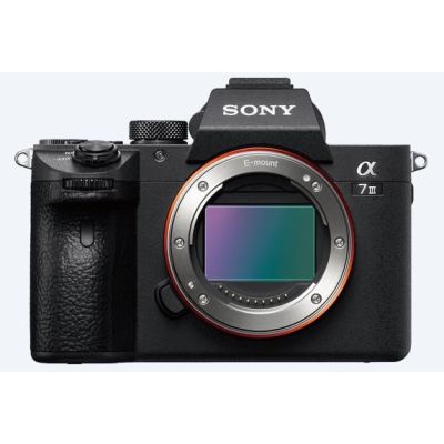Body Sony Digital camera alpha 7.3 ILCE7 III