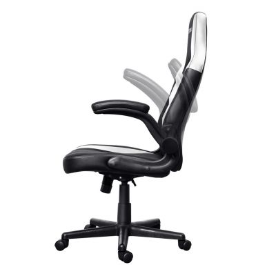 4. TRUST GXT703W RIYE GAMING CHAIR WHITE gaming chair