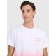3. Men's regular printed T-shirt 4F 4FRAW25TTSHM3226-62S