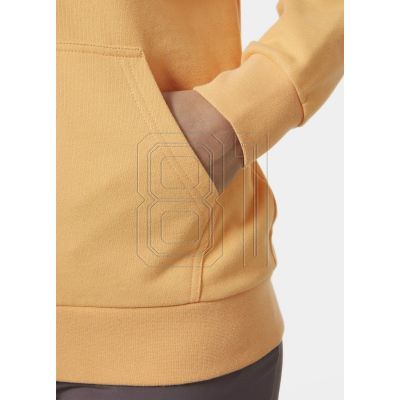 8. Helly Hansen sweatshirt with hood W HH Logo Full Zip Hoodie 2.0 W 34461 316