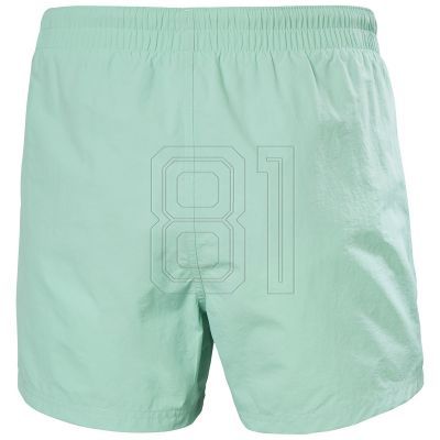 10. Helly Hansen Cascais Trunk M 34031 416 Swim Shorts