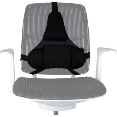 5. Fellowes Ergonomics Professional Back Support Cushion