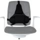 5. Fellowes Ergonomics Professional Back Support Cushion
