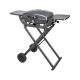 7. Teesa BBQ-1000 TSA0150 portable gas grill - foldable