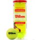 2. Wilson Championship Extra Duty Tennis Balls 3 pcs