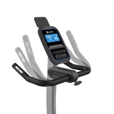 3. HORIZON FITNESS Paros 3.0 Upright Exercise Bike