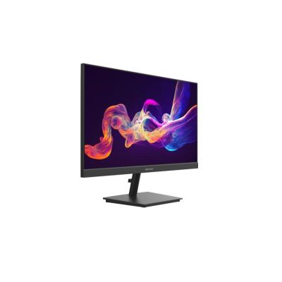 3. Hikvision DS-D5024F2-AP2 monitor