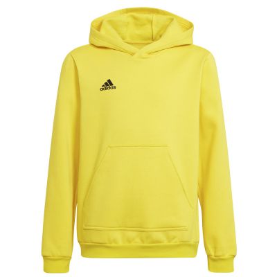 Adidas Entrada 22 Hoody Y Jr sweatshirt HI2142