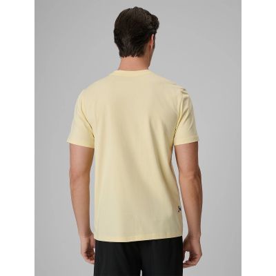 2. Men's regular printed T-shirt 4F 4FRSS26TTSHM4301-73S