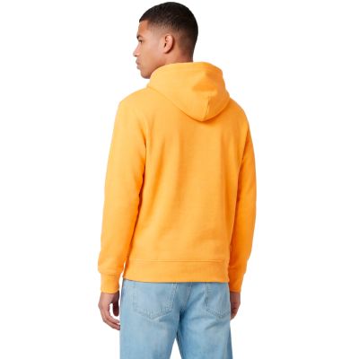 3. Champion Hooded Sweatshirt Yellow 221791 YS164