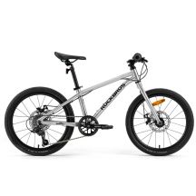 ROCKBROS bicycle model DARWIN 20 inch shock absorber