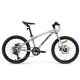 ROCKBROS bicycle model DARWIN 20 inch shock absorber
