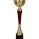 10. TUMA RD gold-burgundy metal cup