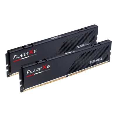 3. G.Skill Flare X5 F5-5200J4040A48GX2-FX5 Memory Module 96GB 2 x 48GB DDR5 5200MHz