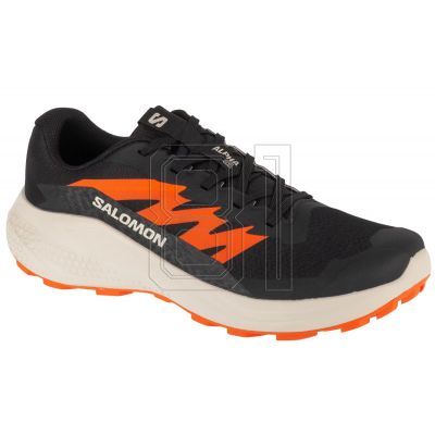 Salomon Alphaglide M L47801100 Running Shoes