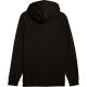 3. Men’s Puma ESS 2 Color Small No.1 Logo Hoodie black 684718 01