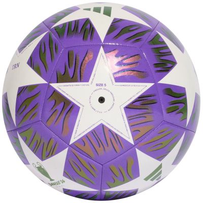 2. adidas UCL Training Ball JX9089