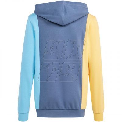 2. Adidas Cb Ft Hd Jr sweatshirt IS2689