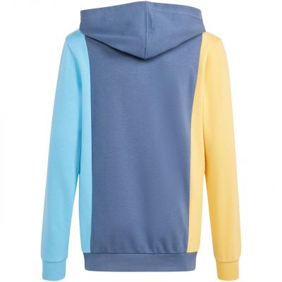 2. Adidas Cb Ft Hd Jr sweatshirt IS2689