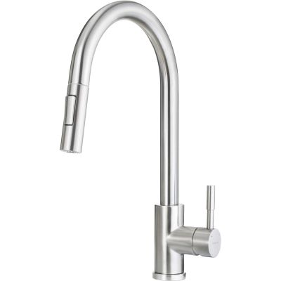 Kitchen tap with pull-out spout
