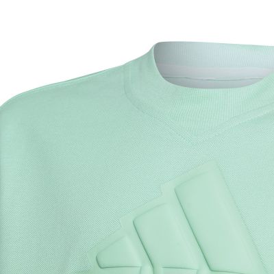 4. adidas FI Logo Tee Jr IC9532
