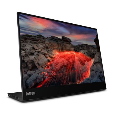 2. Lenovo ThinkVision Monitor 14.0" M14t Gen 2 Touch 16:9 IPS Panel 2240 x 1400 Lift USB Hub DP