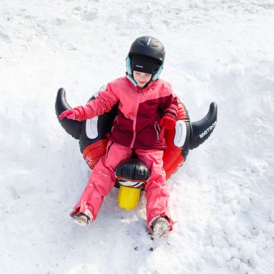 28. Snow Slide Meteor Penguin 16764