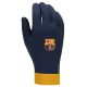 4. Nike FC Barcelona Academy Thermafit FJ4861-010 Gloves