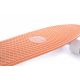 7. Tempish Buffy Nature 1060000785 skateboard