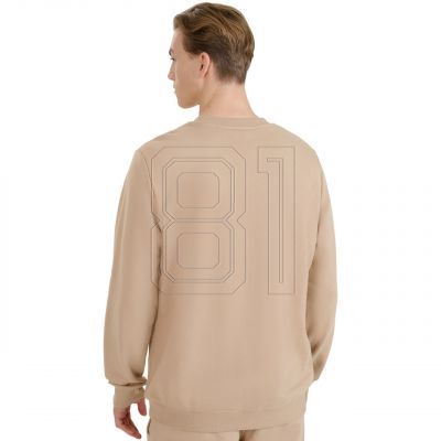 3. Sweatshirt 4F M1622 M 4FWSS25TSWSM1622 83S