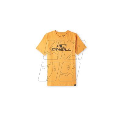 O&#39;Neill Rutile Wave T-Shirt Jr 92800620356