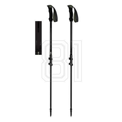 Spokey Trail SPK-945416 trekking poles