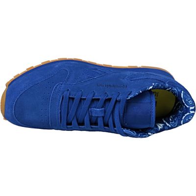 3. Reebok Classic Leather TDC JR BD5052 shoes