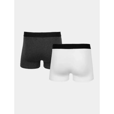 2. Boxer shorts 4F M H4Z22-BIM350-92S