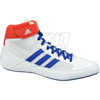 Adidas Havoc M BD7129 shoes