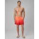 Men's boardshorts 4F 4FWSS26UBDSM168-70S