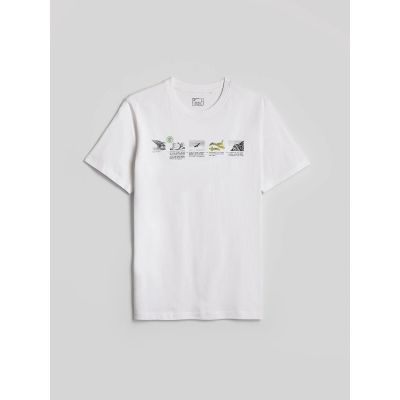 5. Men's regular printed T-shirt 4F 4FKAW26TTSHM4476-10S