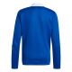2. Adidas Tiro 21 Track Jr GM7315 football shirt