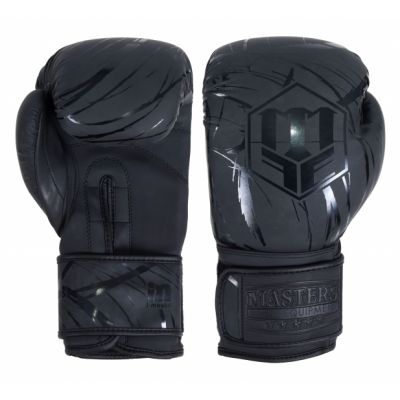 MASTERS RPU-COLOR/COLOR boxing gloves