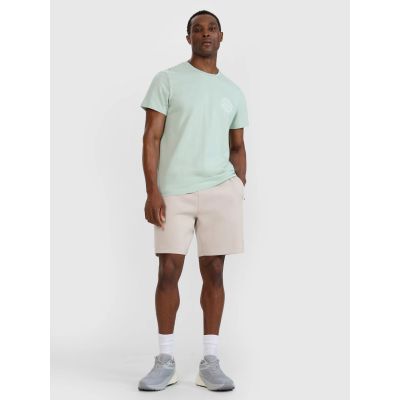 4. Men's regular printed T-shirt 4F 4FWSS25TTSHM1980-47S