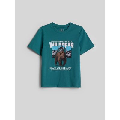 5. Boy's regular printed T-shirt 4F 4FJKAW26TTSHM4456-46S