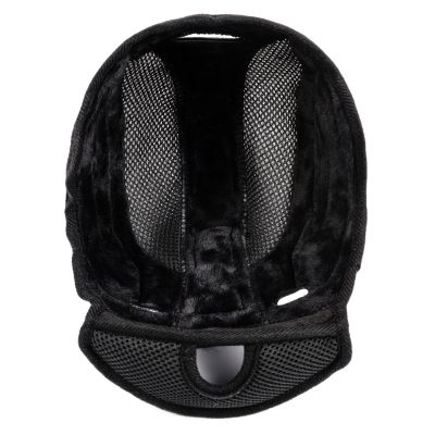 13. Meteor Holo 24964 Ski Helmet