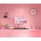 4. Monitor JAPANNEXT 60.5cm JN-I238FHD120F-HSP-PK 16:9 HDMI pink FHD