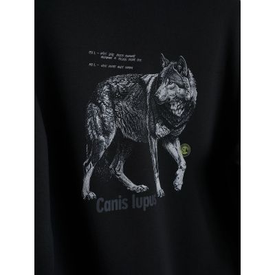 8. Men's regular hooded sweatshirt 4F 4FKAW26TSWSM3182-20S