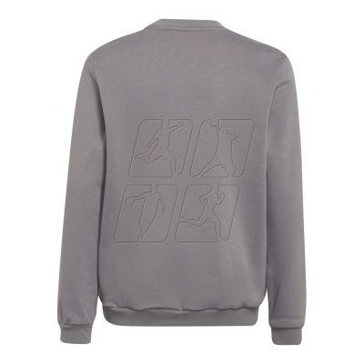 3. Adidas Entrada 22 Sweat Top Jr H57477 sweatshirt