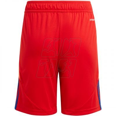 2. Adidas Tiro 24 Jr IT2422 shorts