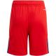 2. Adidas Tiro 24 Jr IT2422 shorts