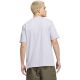3. adidas Varsity Tailsweep Graphic Men's T-Shirt Gray KS2179